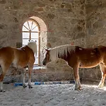 Gemuetliches Studio Mit Alkovenbett & Sonnenterrasse דירה Großharthau