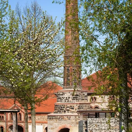Hexenburgbeidresden Mit Sonnenterrasse, Alkovenbett, Wohn- Und Essbereich, Fussbodenheizung Und Klimaanlage, Decke * Großharthau