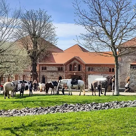 公寓 Hexenburgbeidresden Mit Sonnenterrasse, Alkovenbett, Wohn- Und Essbereich, Fussbodenheizung Und Klimaanlage, Decke