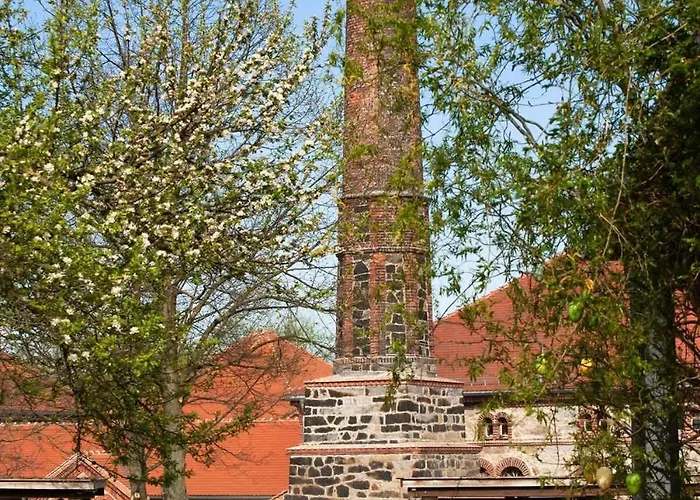 Hexenburgbeidresden Mit Sonnenterrasse, Alkovenbett, Wohn- Und Essbereich, Fussbodenheizung Und Klimaanlage, Decke * Grossharthau
