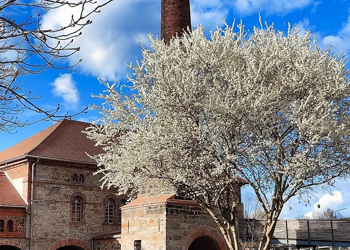 Hexenburgbeidresden Mit Sonnenterrasse, Alkovenbett, Wohn- Und Essbereich, Fussbodenheizung Und Klimaanlage, Decke 公寓